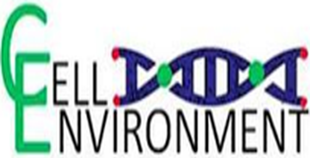 Cell Environment DNA Damage
