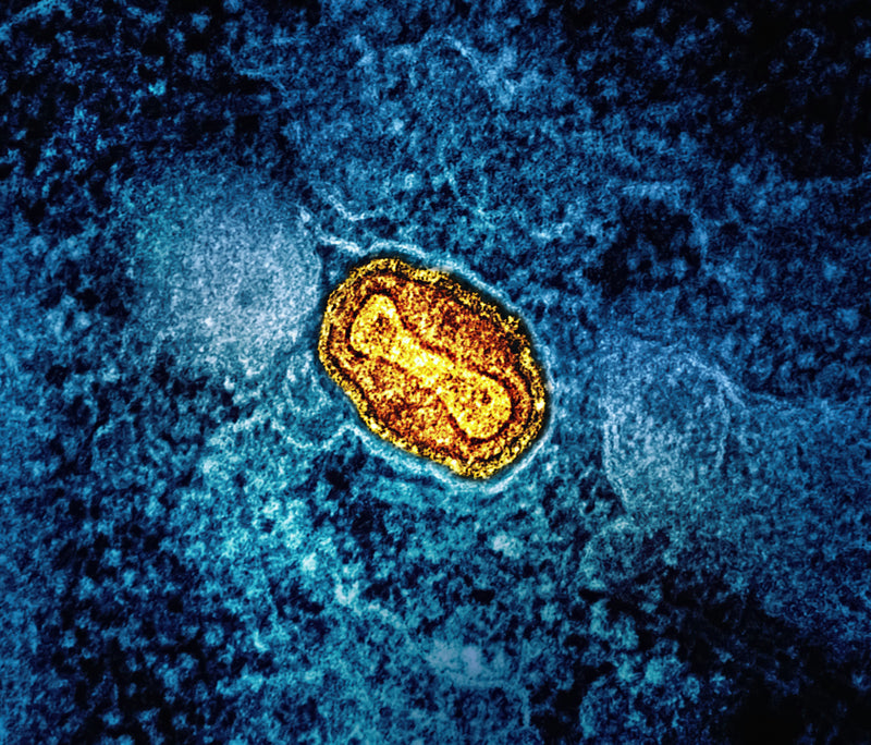 Dysfonction mitochondriale : quand l’énergie cellulaire ralentit